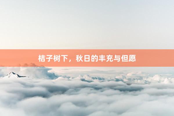 桔子树下，秋日的丰充与但愿