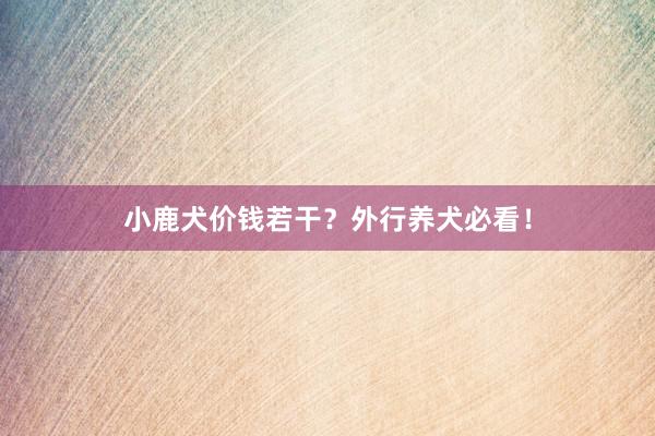 小鹿犬价钱若干？外行养犬必看！